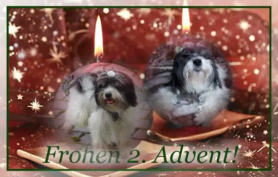 Andachtsbild von 2.Advent❤❤Rosen❤❤❤❤❤❤❤❤