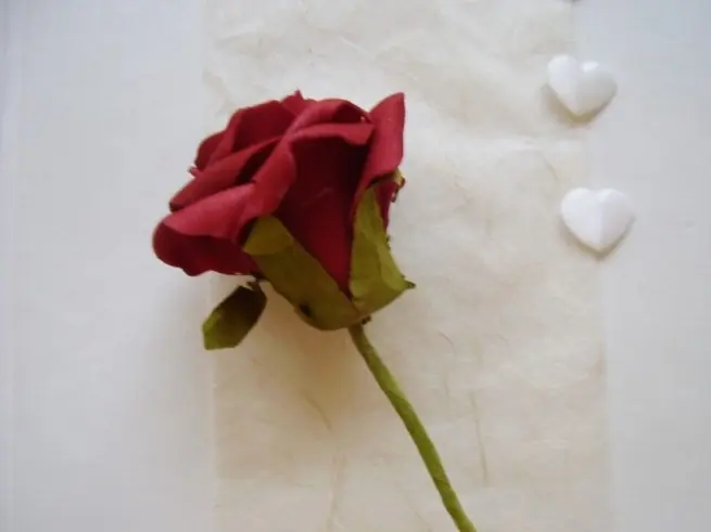 Condolence image of Unbekannt