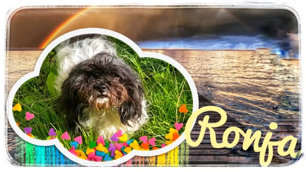 Andachtsbild von Monika