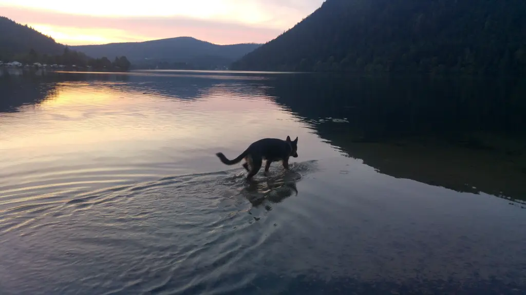 Andachtsbild von Andrea & Frank