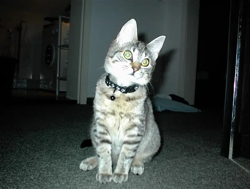 Andachtsbild von Unbekannt