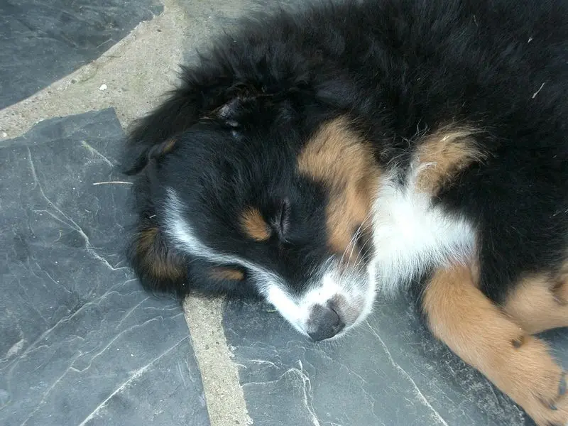 Image from Luna