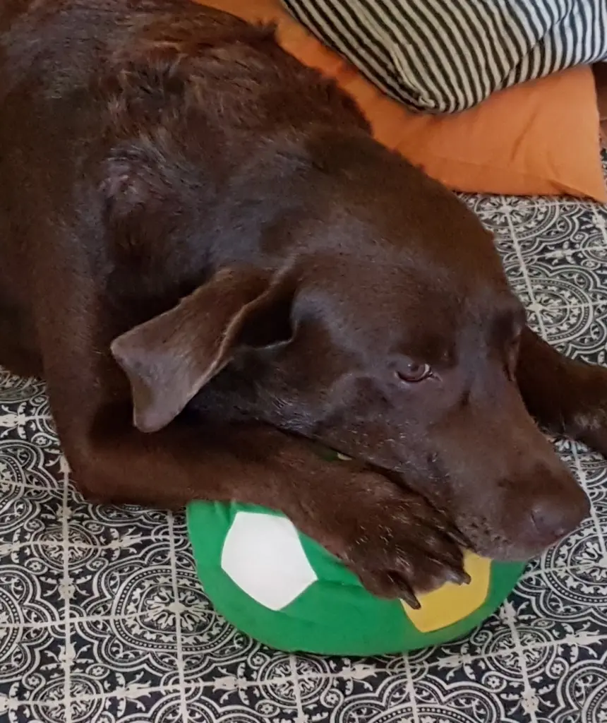 Andachtsbild von Silvana