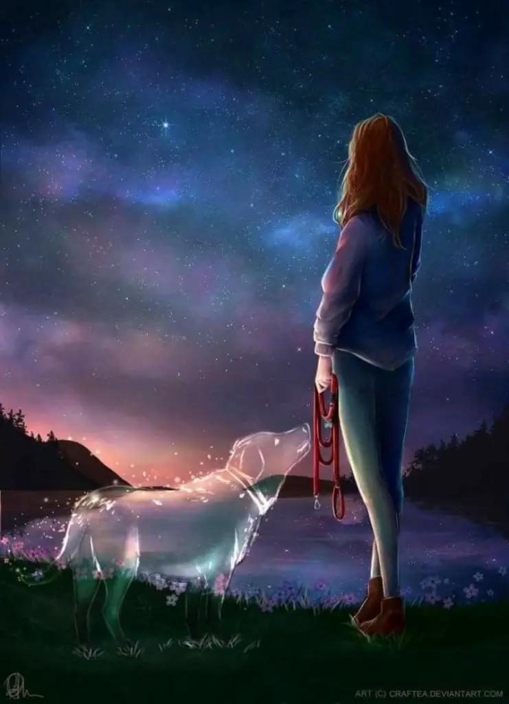 Condolence image of WIR 