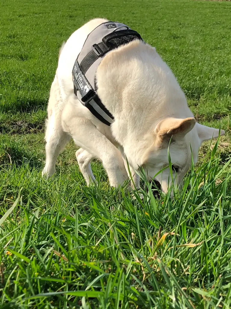 Image from Mäx