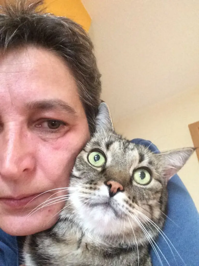 Andachtsbild von Unbekannt