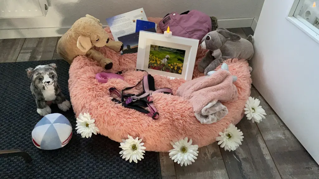 Image from Ziska
