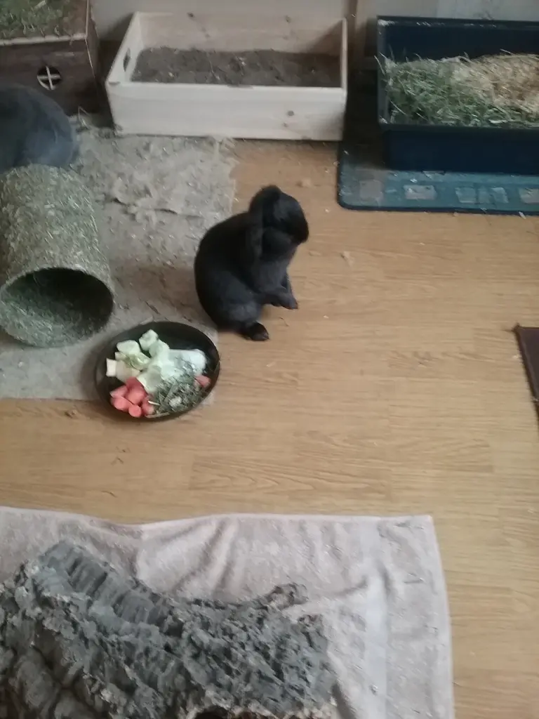 Image from Minnie