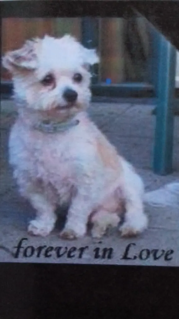 Condolence image of Unbekannt