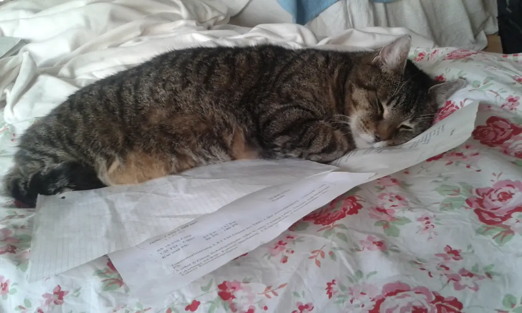 Andachtsbild von Sarah
