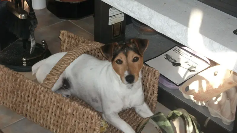 Andachtsbild von Yvonne und Byron im Herzen