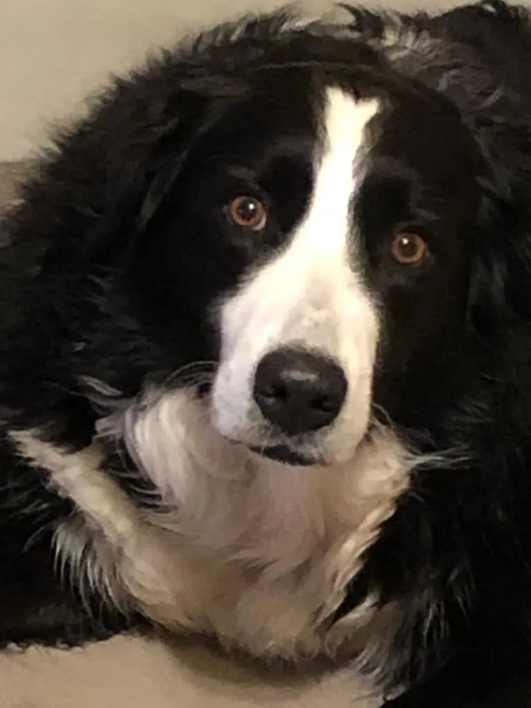 Andachtsbild von Mirko