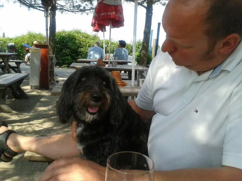 Condolence image of Claudia & Christoph