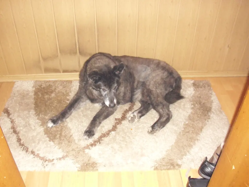 Condolence image of Irene