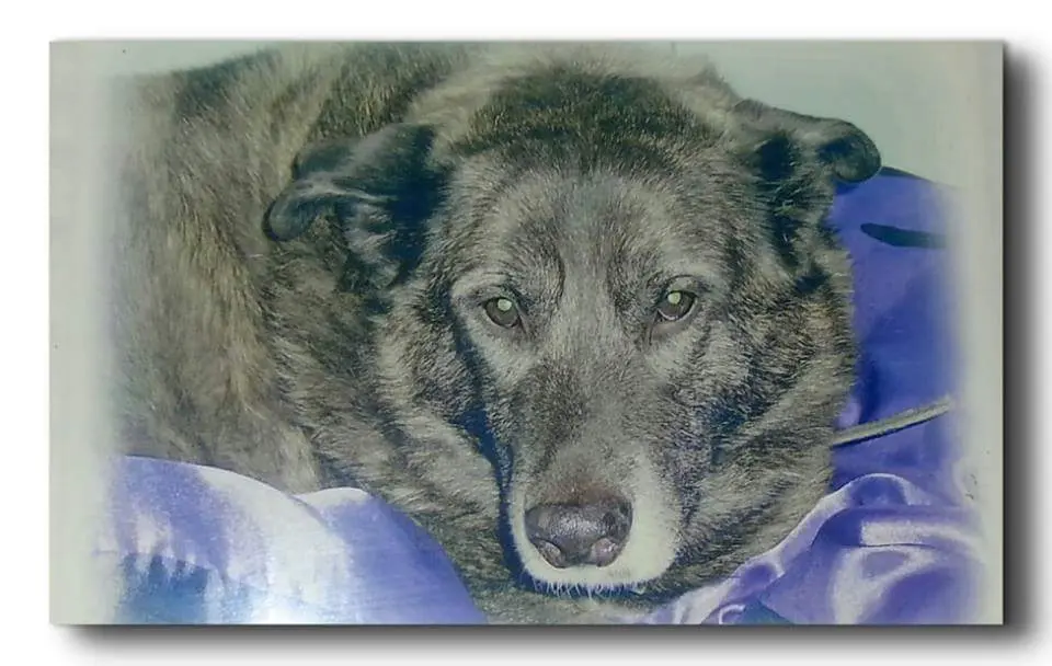 Condolence image of Patricia
