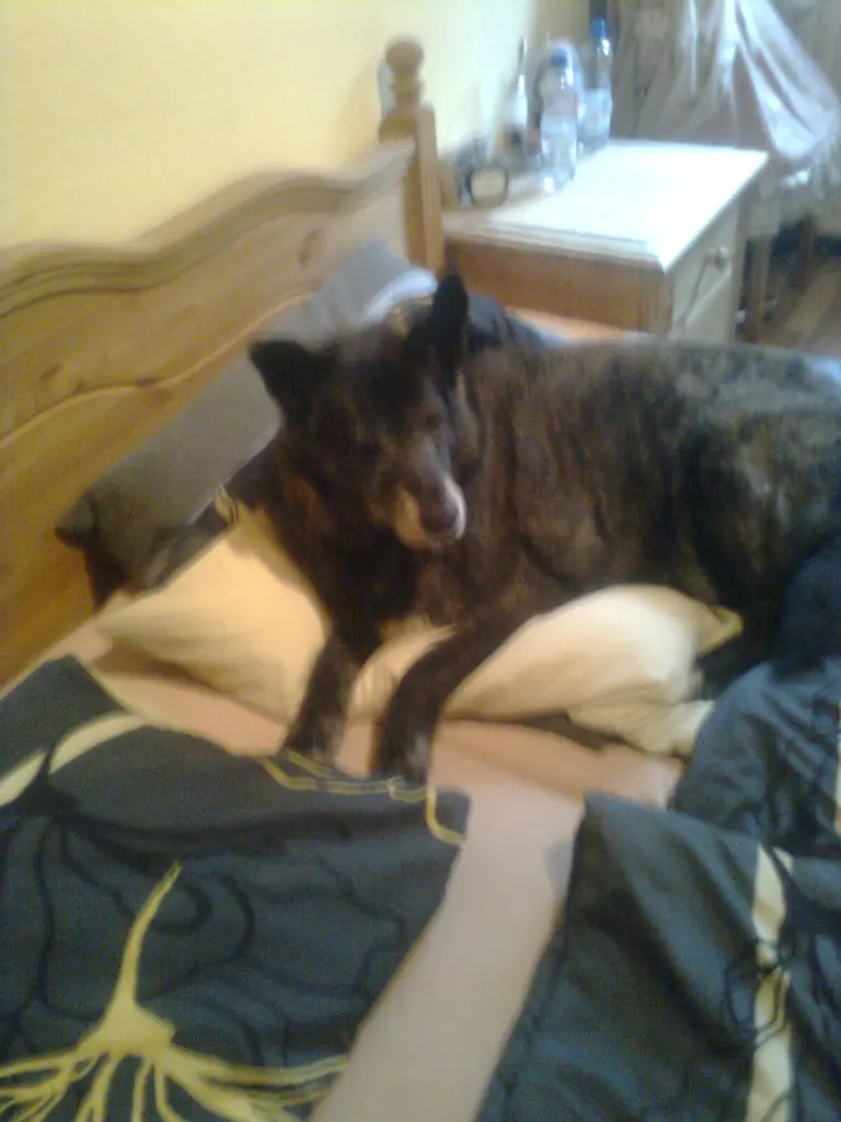 Image from Bonny