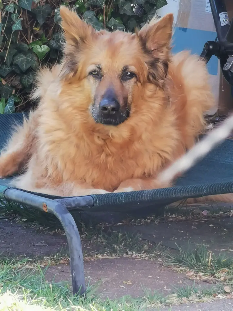 Bild von Ella