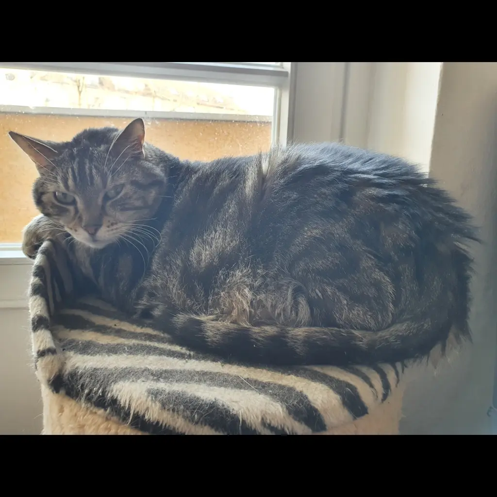 Image from Linus