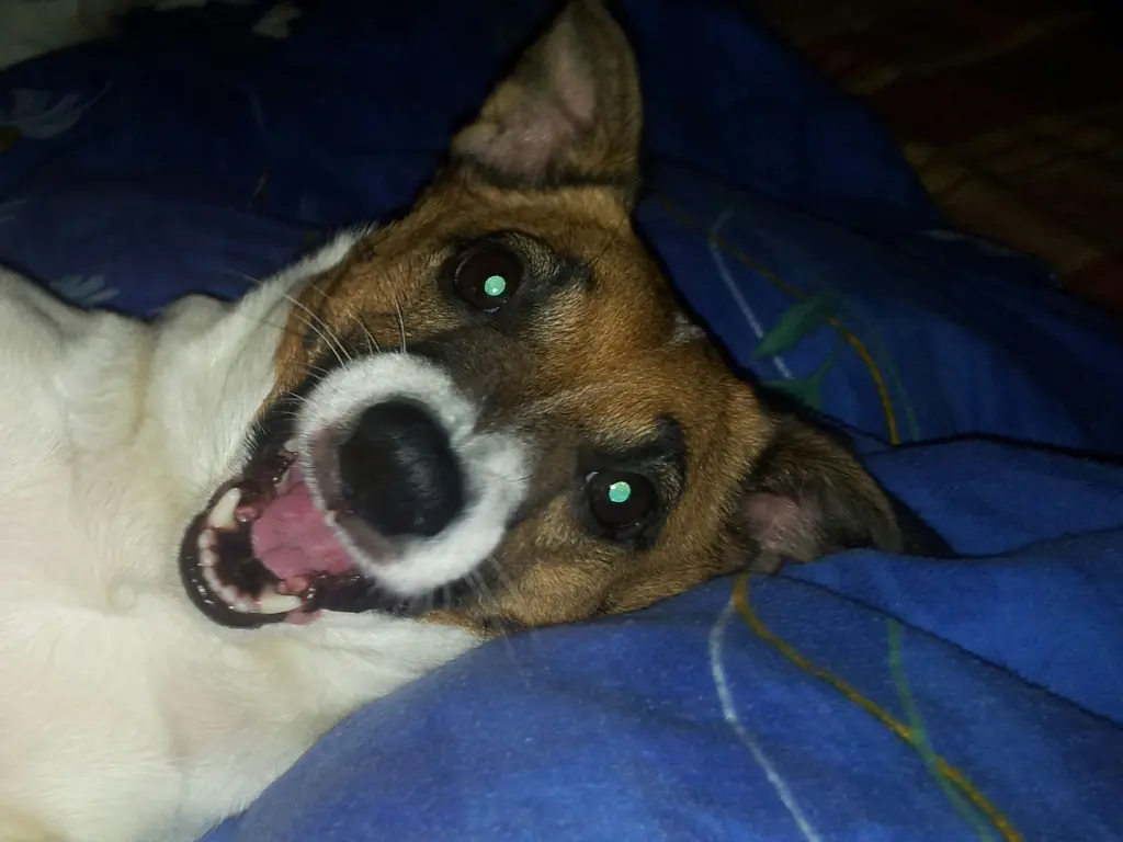 Andachtsbild von Sabine