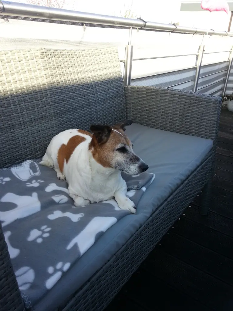 Andachtsbild von Sabine