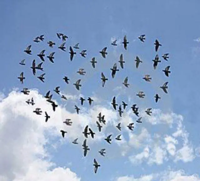 Andachtsbild von Sabine