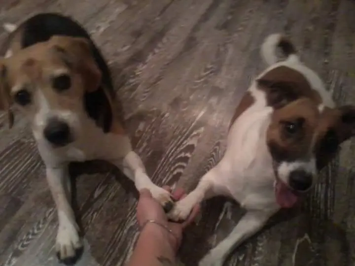 Andachtsbild von Sabine