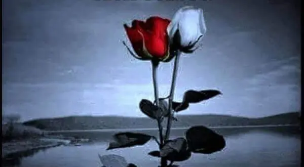 Andachtsbild von Sabine mit Luna & Milo tief im Herzen