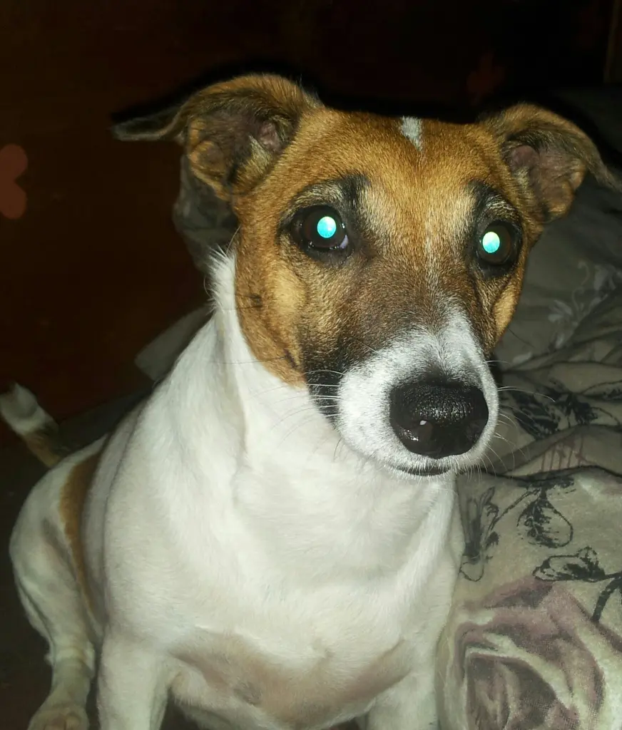 Andachtsbild von Sabine