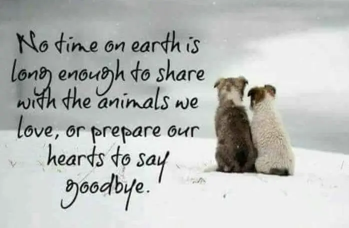 Andachtsbild von Sabine mit Luna & Milo tief im Herzen 