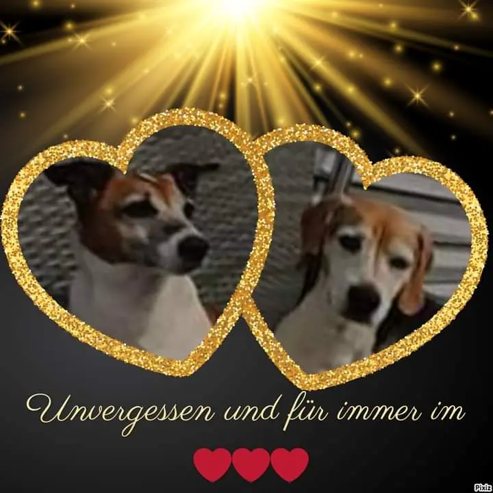 Andachtsbild von Sabine mit Luna & Milo tief im Herzen 