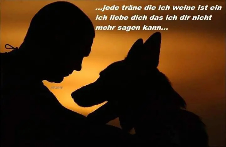 Andachtsbild von Sabine mit Luna & Milo tief im Herzen