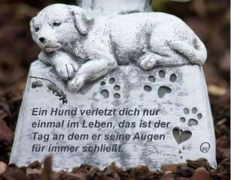 Andachtsbild von Sabine mit Luna & Milo tief im Herzen