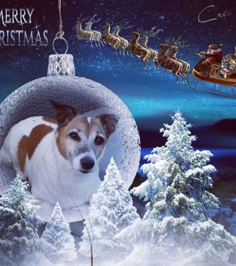 Andachtsbild von Sabine mit Luna & Milo tief im Herzen