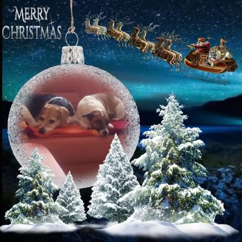 Andachtsbild von Sabine mit Luna & Milo tief im Herzen