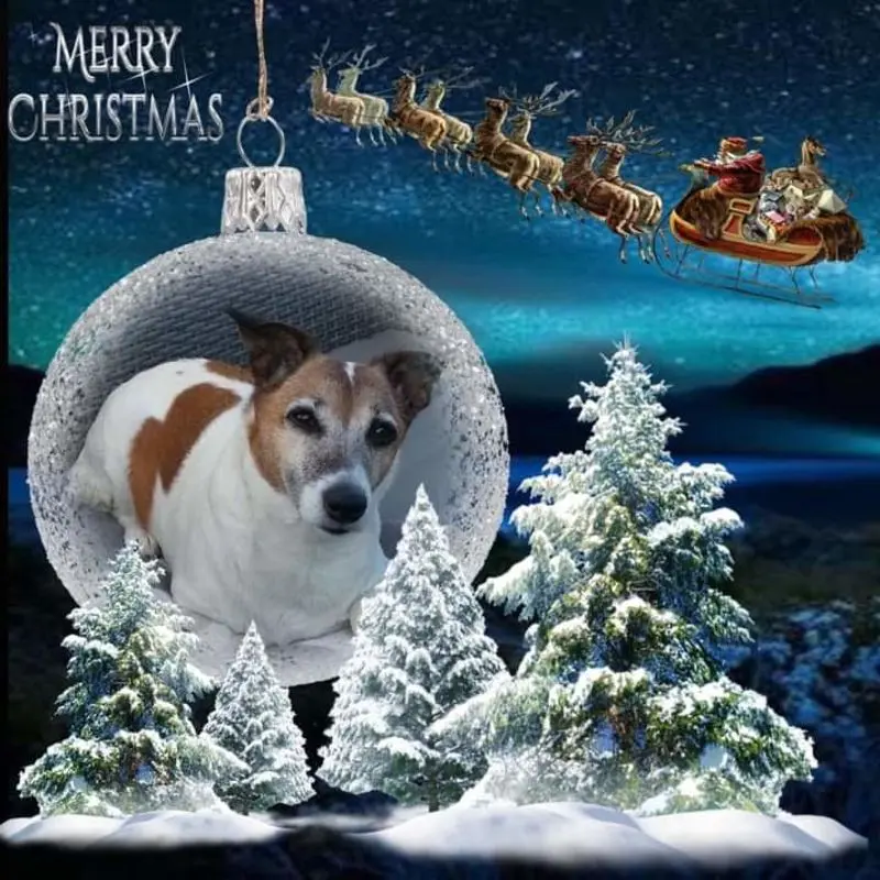 Andachtsbild von Unbekannt