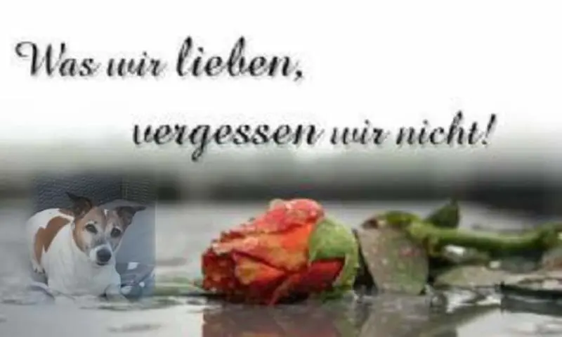 Andachtsbild von Sabine mit Luna & Milo tief im Herzen