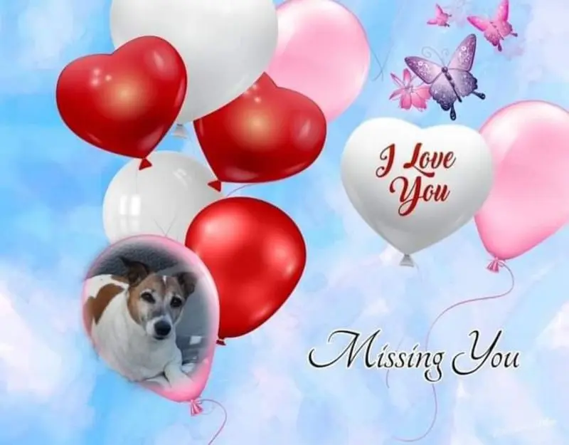 Andachtsbild von Sabine mit Luna & Milo tief im Herzen