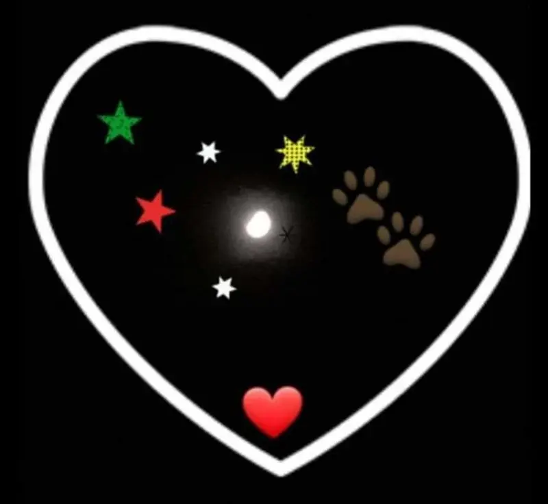 Andachtsbild von Sabine mit Luna & Milo tief im Herzen 