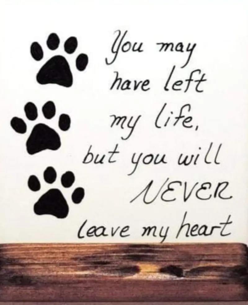 Andachtsbild von Sabine mit Luna & Milo tief im Herzen 