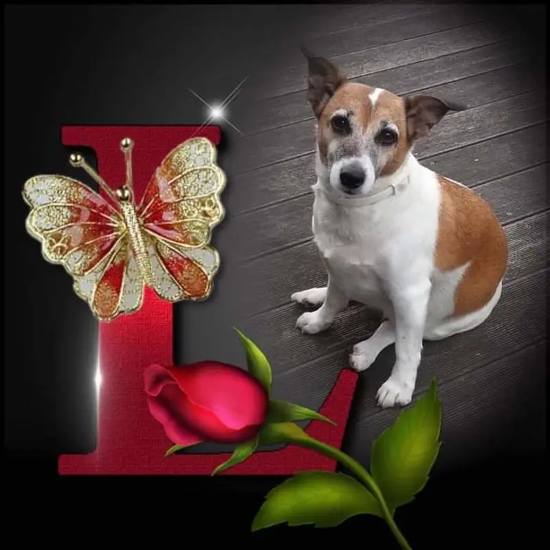 Andachtsbild von Sabine mit Luna & Milo tief im Herzen 