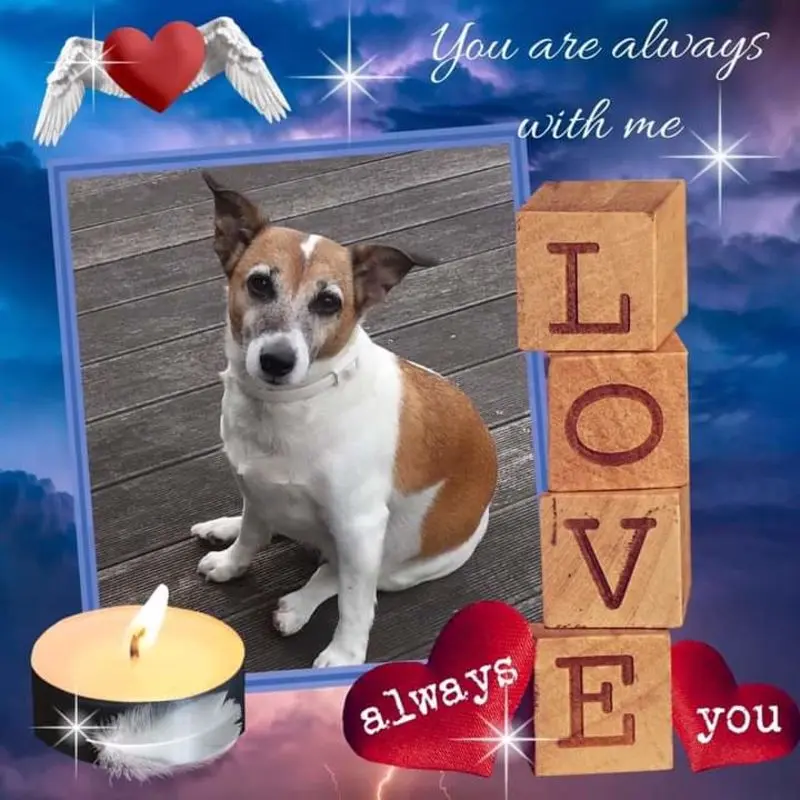 Andachtsbild von Sabine mit Luna & Milo tief im Herzen 