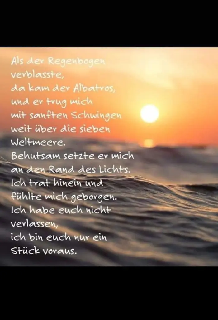 Andachtsbild von Sabine mit Luna & Milo tief im Herzen 