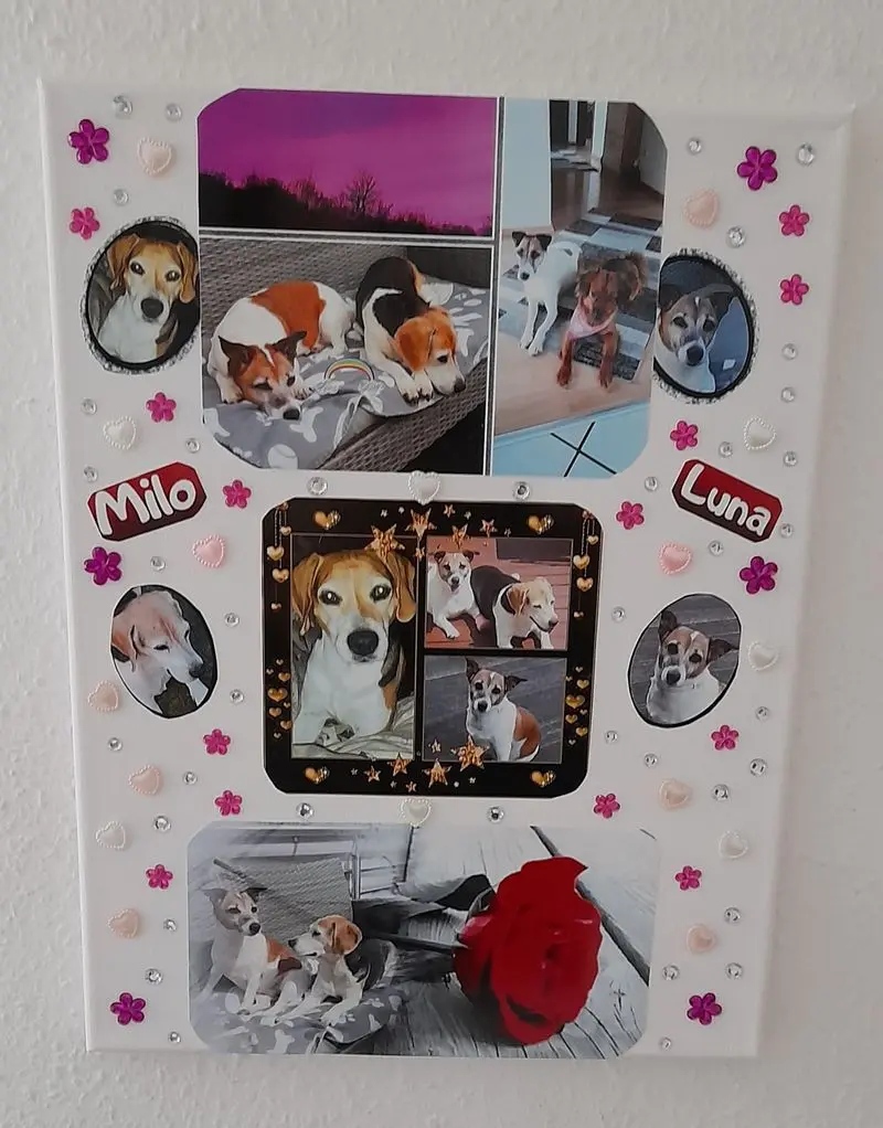 Andachtsbild von Sabine mit Luna & Milo tief im Herzen 