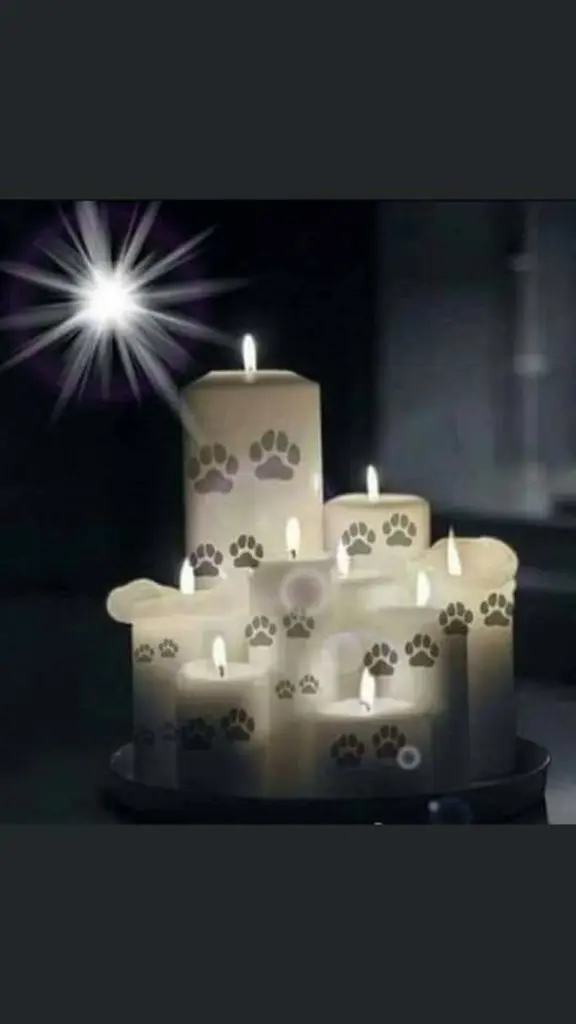 Andachtsbild von Sabine mit Luna & Milo tief im Herzen 