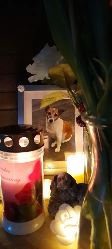 Andachtsbild von Sabine mit Luna & Milo tief im Herzen 