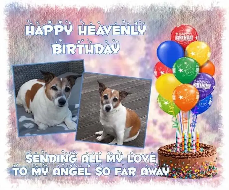 Andachtsbild von Sabine mit Luna & Milo tief im Herzen 