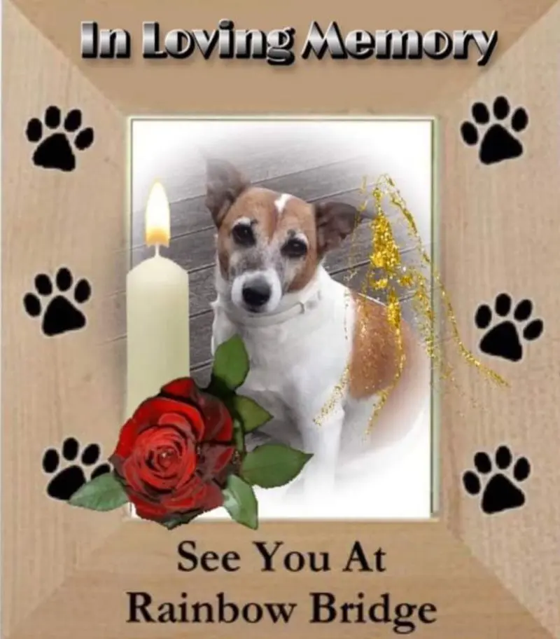 Andachtsbild von Sabine mit Luna & Milo tief im Herzen