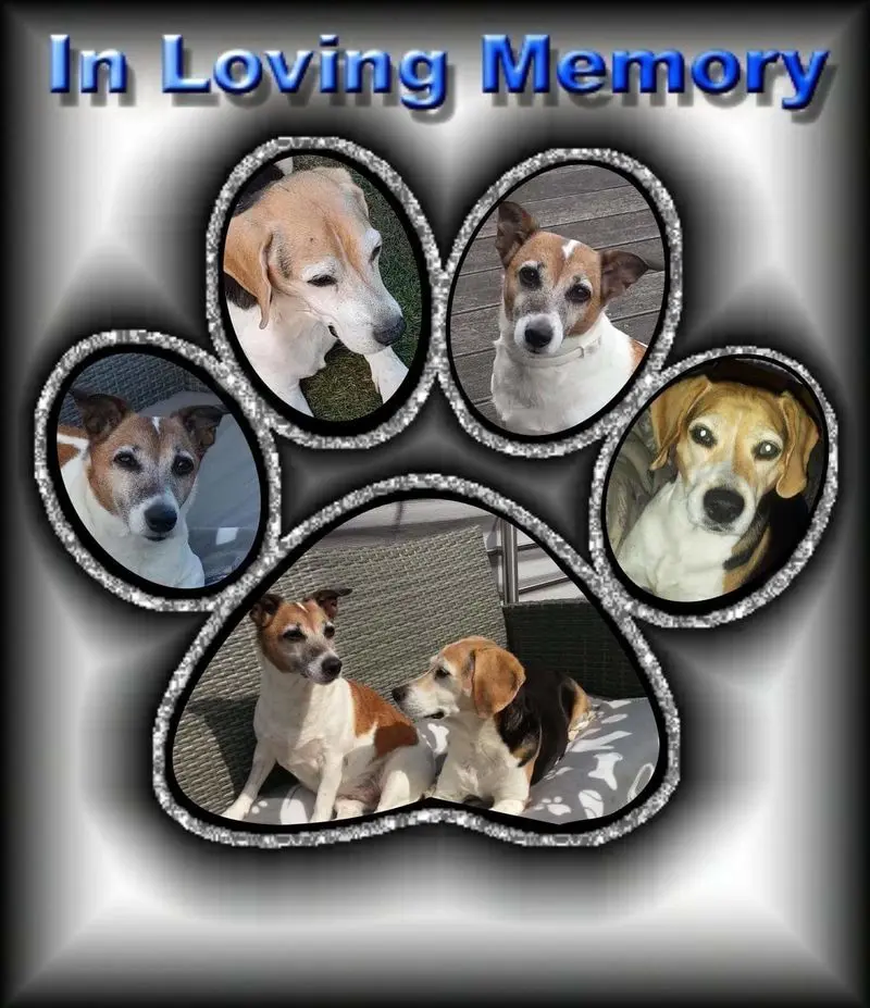 Andachtsbild von Sabine mit Luna & Milo tief im Herzen