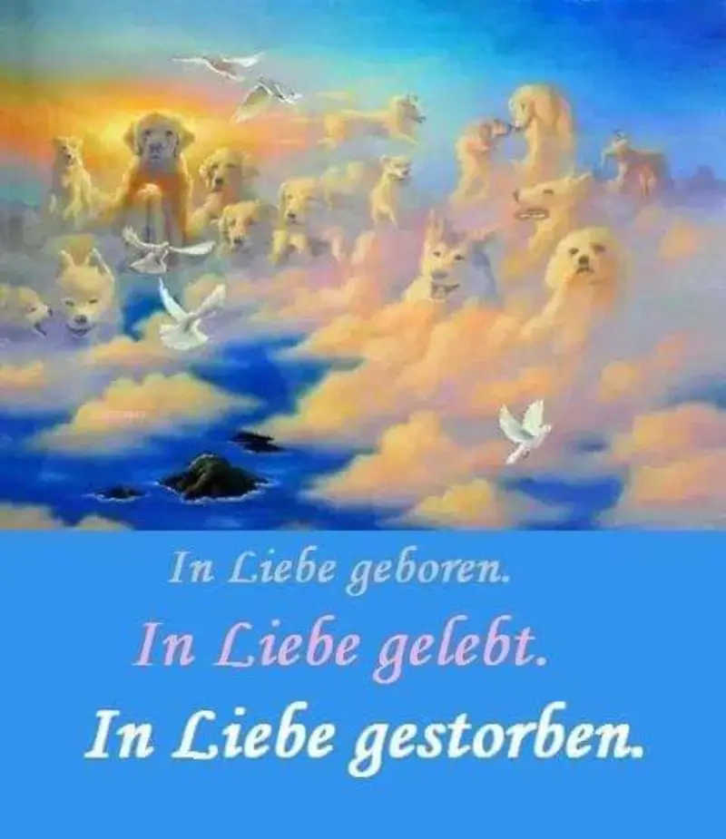 Andachtsbild von Sabine mit Luna & Milo tief im Herzen 