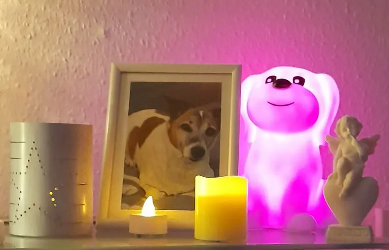 Andachtsbild von Sabine mit Luna & Milo tief im Herzen 